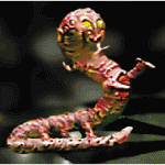 klorslug