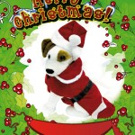 costume babbo natale per cani